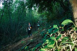 BIB: 
                            <button type="button" onclick="openModal(28124718)" class="btn btn-primary btn-sm float-right btn-popup" data-toggle="modal" data-target=".modal-high-quality">
                        <i class="fas fa-shopping-cart"></i> Add to Cart
                    </button>
                                            <button type="button" onclick="isThisMe(28124718, true)" class="btn btn-success btn-sm float-right btn-popup btn-isme hidden" data-toggle="tooltip" data-placement="bottom" title="นี่คือรูปของคุณใช่ไหม คลิกที่นี่เพื่อเอาเข้าอัลบั้ม">
                        <i class="fas fa-plus"></i> Add to album
                    </button>
                    <button type="button" onclick="isThisMe(28124718, false)" class="btn btn-warning btn-sm float-right btn-popup btn-isnotme hidden">
                        <i class="fas fa-ban"></i> Remove from album
                    </button>